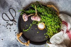 Cooking concept with marjoram and garlic on plate