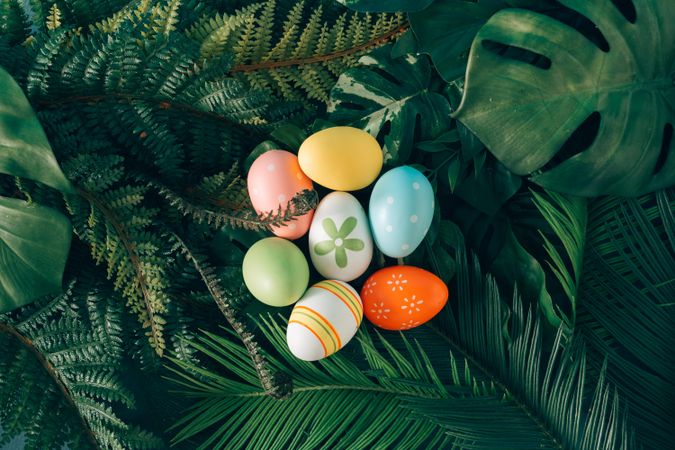 Easter eggs on foliage