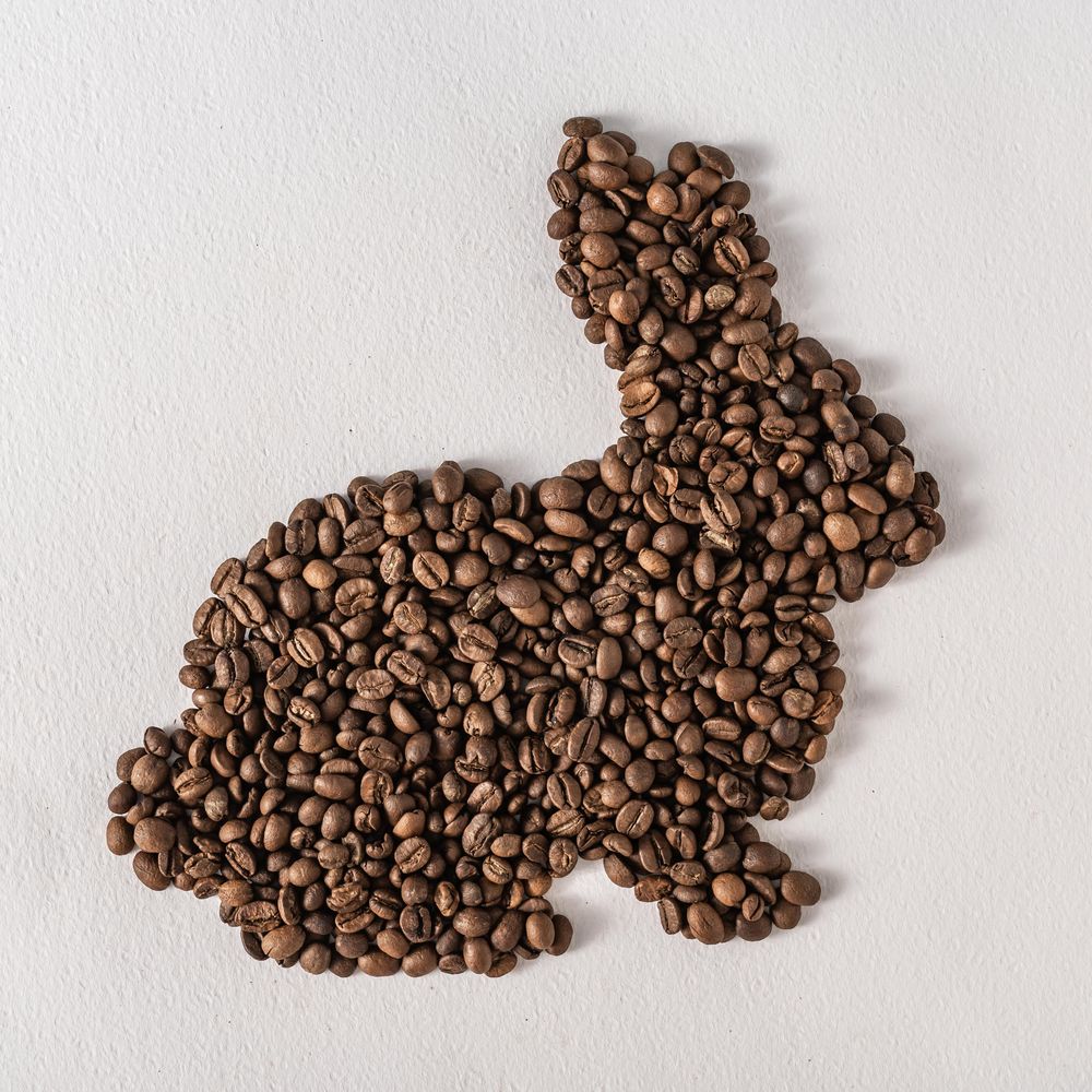 Coffee beans in bunny shape