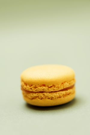 Single lemon macaroon