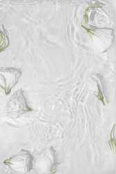 Summer scene with rose flowers bordering water