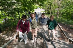 Happy students walking up stairs on campus