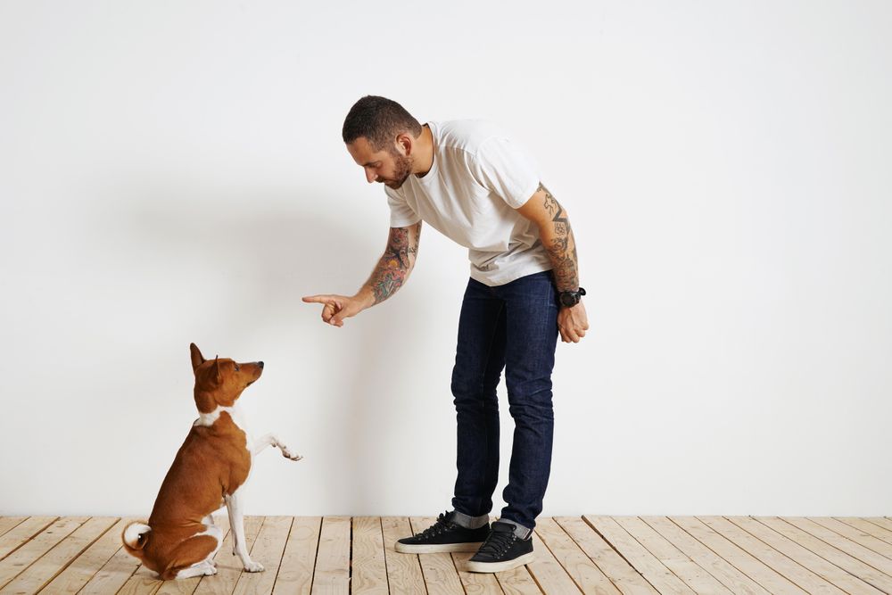 Casual, tattooed man repremanding dog