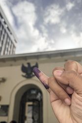 Female Little Finger Marked with Election Ink. Pemilu Indonesia