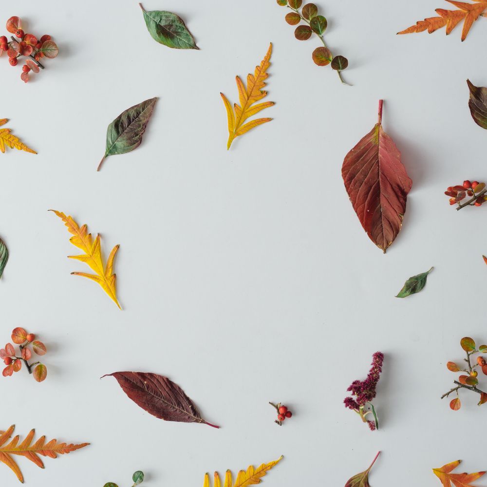 Autumn leaves and branches on light table background