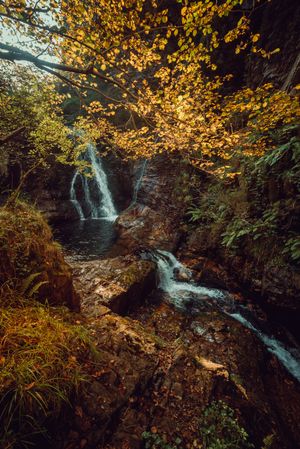 Small river and waterfall flowing in green dark beautiful forest.