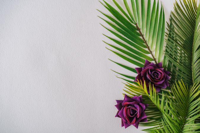 Tropical layout with rose flowers and palm leaves