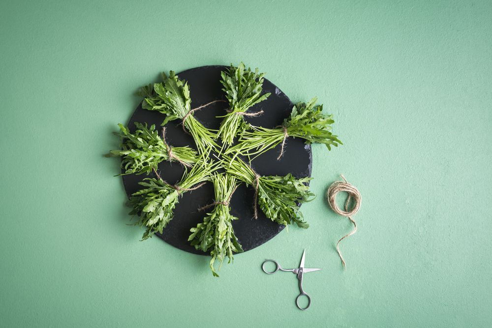 Arugula bundles on plate on green table