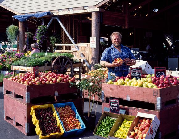 Bob "Sully" Sullivan displays his produce at the farmers' market, Olympia, Washington