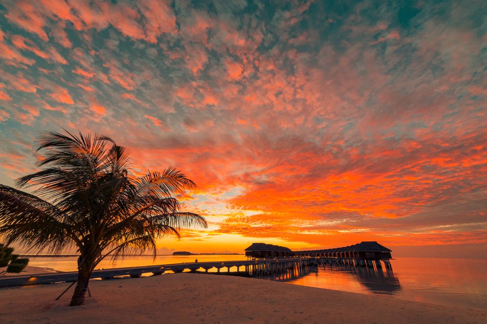 Overwater bungalows in the Maldives at sunset