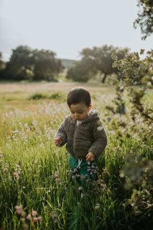 Toddler in a field of tall grass