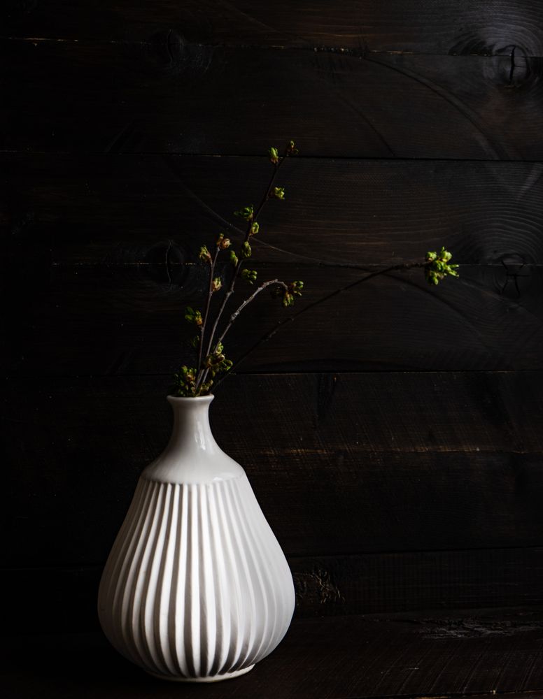 Decorative branch in vase in dark studio