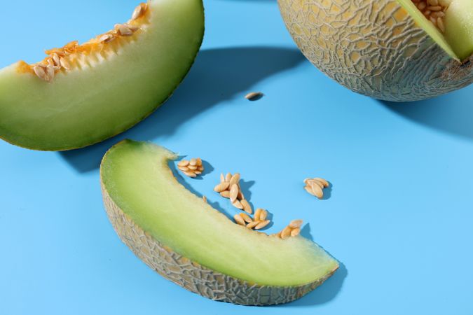 Sliced Fresh Melon