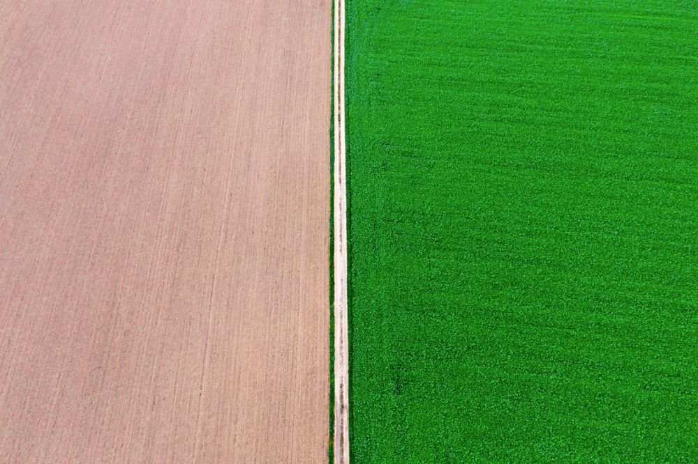 Agricultural fields drone aerial view, directly above