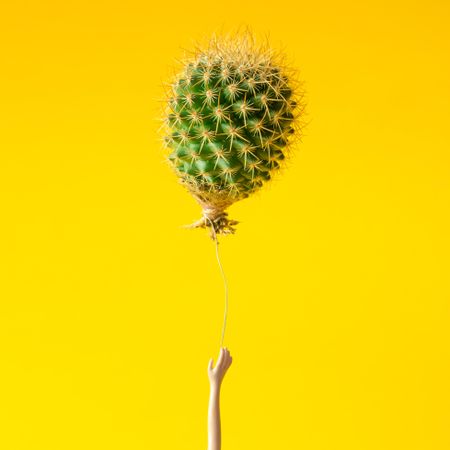 Cactus balloon floating away with hand outreached