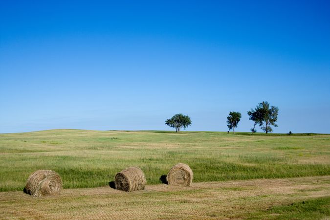 Hay bales in a field, rural Nebraska