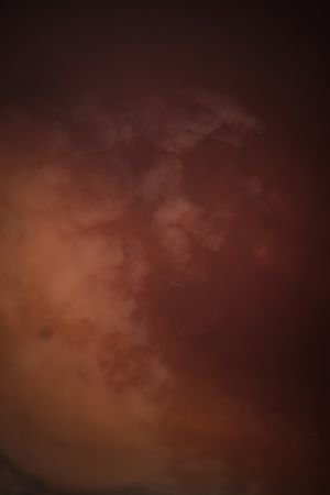 Smoke over water in brown light