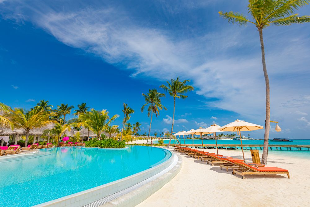 Pool with reclining chairs and parasols with tropical palm trees