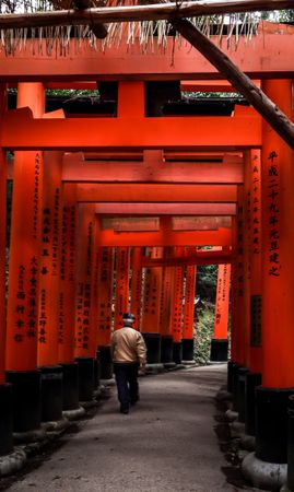Back view of an older man walking in Thousand Torii Gates in Kyoto, Japan