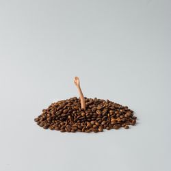 Doll arm emerging from a pile of coffee beans