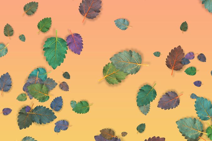 Scattered leaves on gradient yellow pastel background