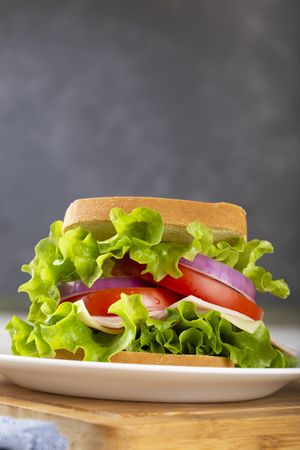 Natural sandwich. Sandwich with cheese, ham, lettuce, tomato and red onion.