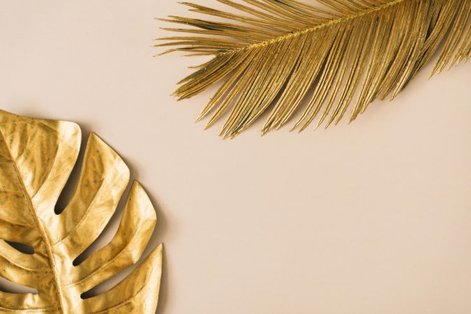 Gold leaves on beige background