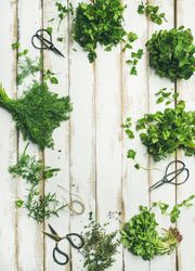 Freshly cut green herbs in an oval shape on wood table