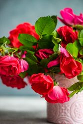 Close up of roses in pink vase
