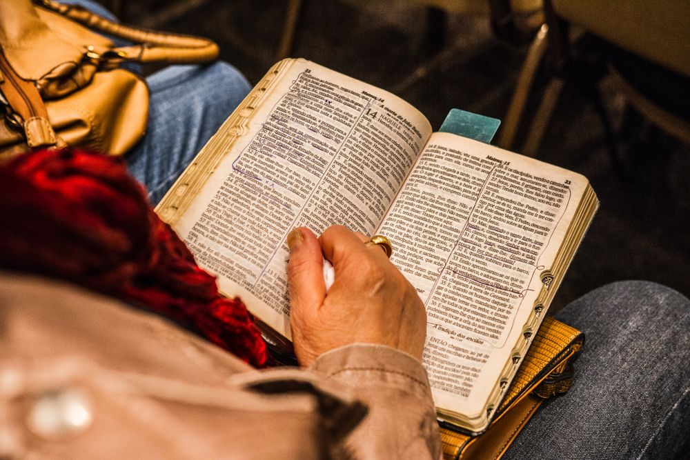 Back view of an adult person reading a book