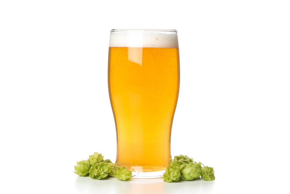 Glass of beer and hop cones isolated on light background