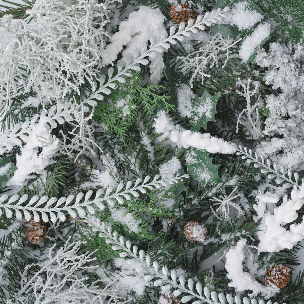 Snowy winter plants and branches