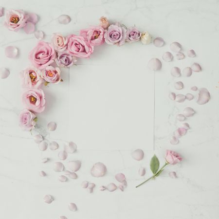 Wreath of rose flowers and petals on light background