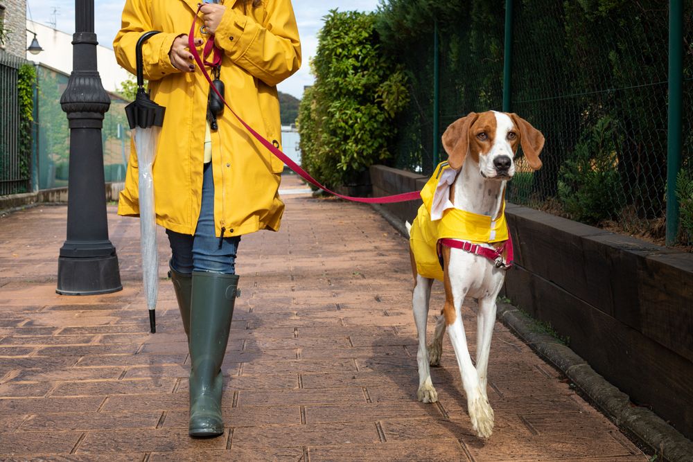Woman walking with dog in cloak in street