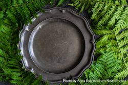Summer table setting with fern surrounding dark plate 56G8KP