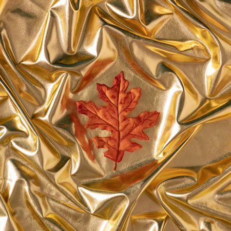 Autumn orange leaf with golden wavy abstract background