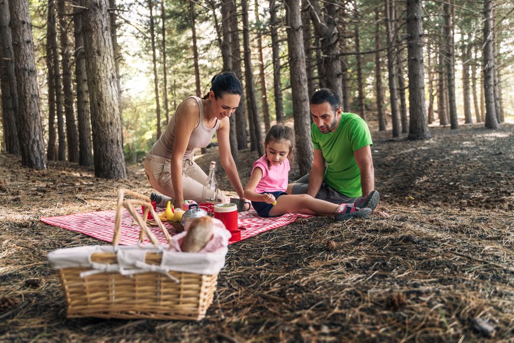 Family of three Having Picnic in Forest - Outdoor Activity and Quality Time Together