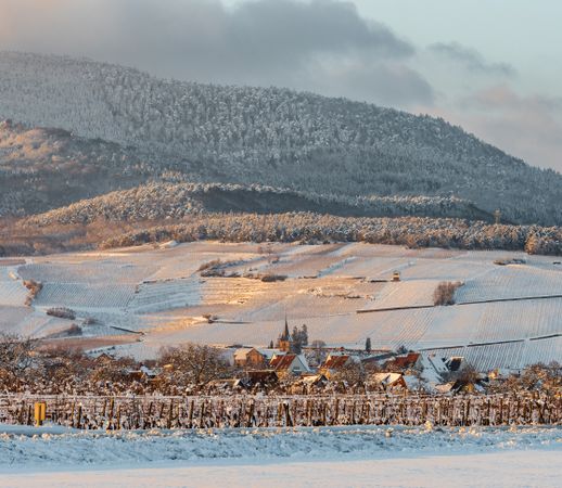 The warm colors of the setting sun on the snowy foothills of the Vosges. Alsace.