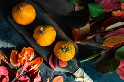 Top view of board of gourds with autumn leaves