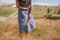 Young woman gathering dried spikes