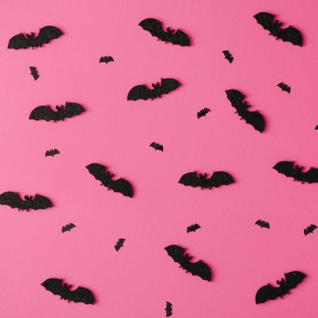 Pattern made of bats on pink background