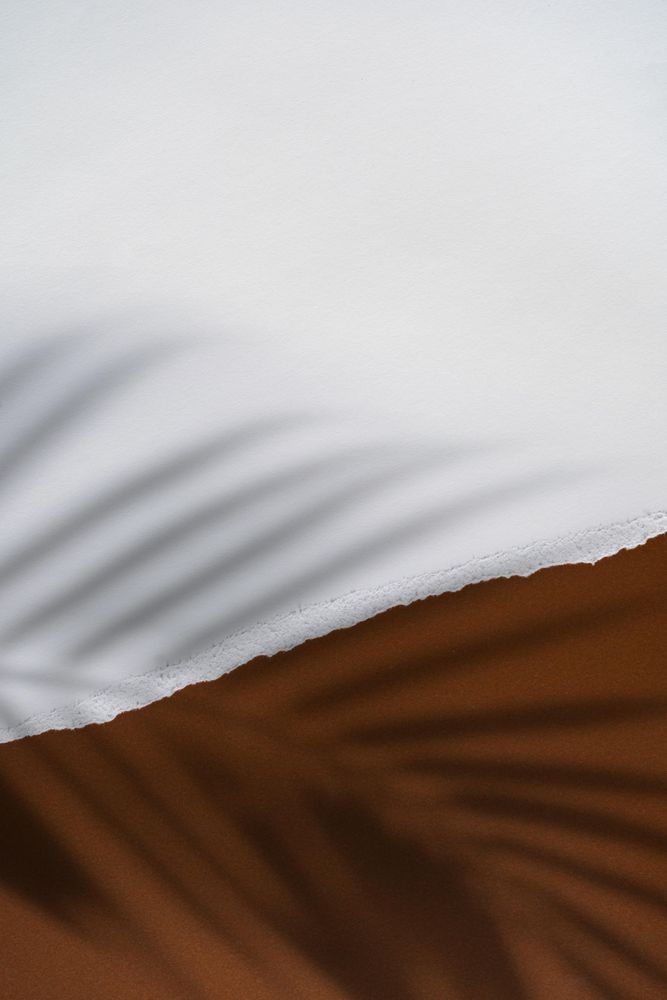 Tropical palm shadow over brown and light torn paper background