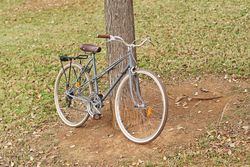 Vintage bicycle leaning on tree in park