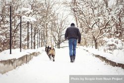 Man and a dog walking on snow covered road 5wklR5