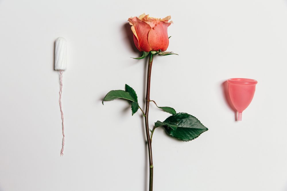 Methods of female hygiene over plain background