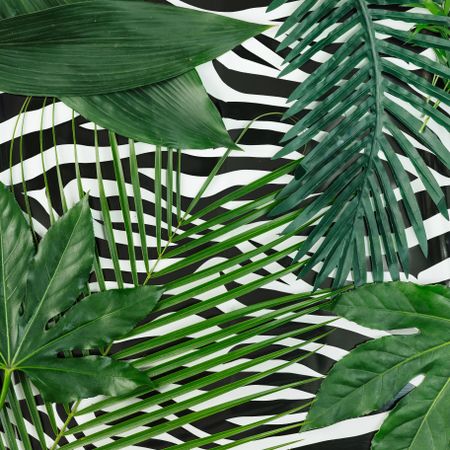 Tropical leaves on zebra print background