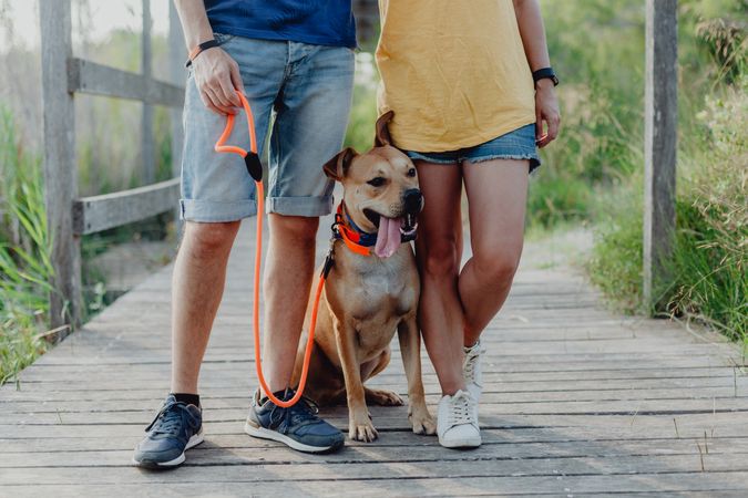 Happy adult couple playing with dog at countryside