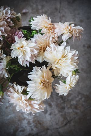 Bouquet of fresh pink flowers