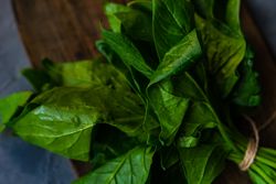 Close up of fresh spinach wrapped on wooden board