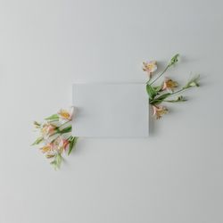 Flowers on light background with paper card